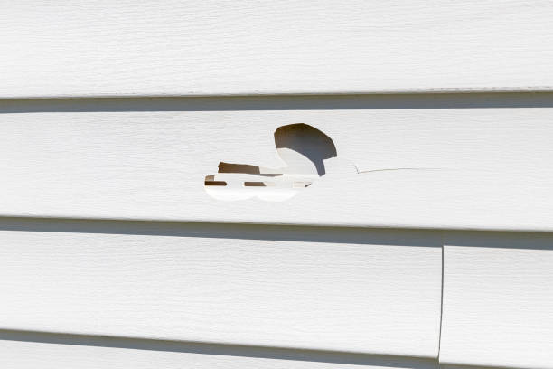  Rosedale, MS Junk Removal Pros